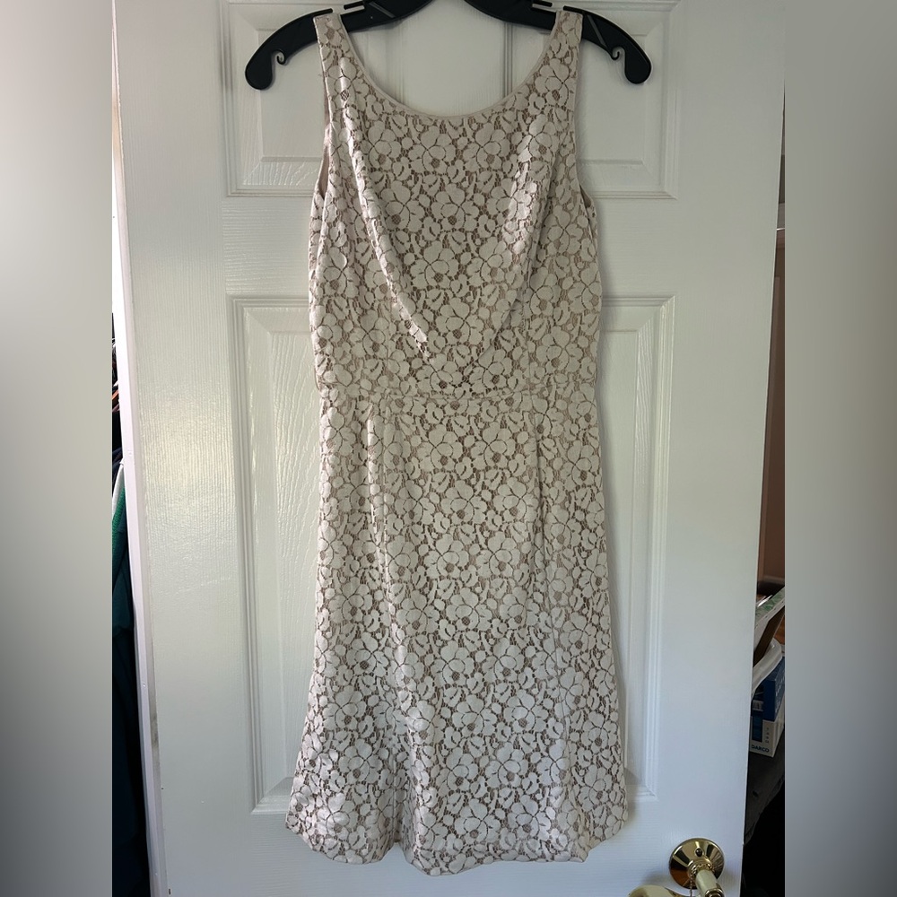 White House Black Market Ivory Floral Lace Mini Dress